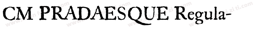 CM PRADAESQUE Regula字体转换
